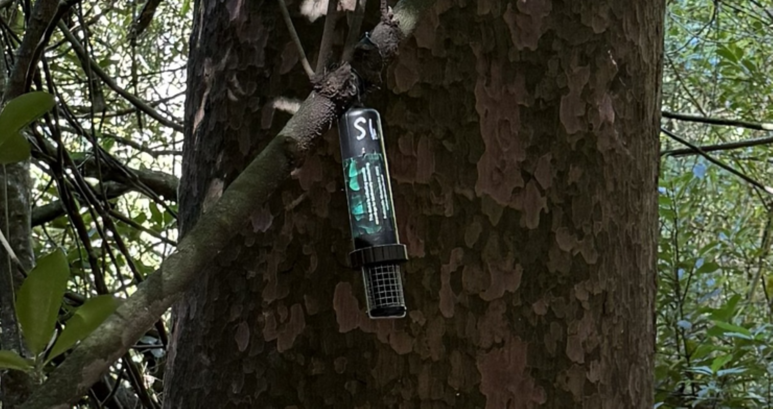 AR5 Monitor attached to a tree.