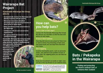 Bats / Pekapeka in the Wairarapa brochure page 1